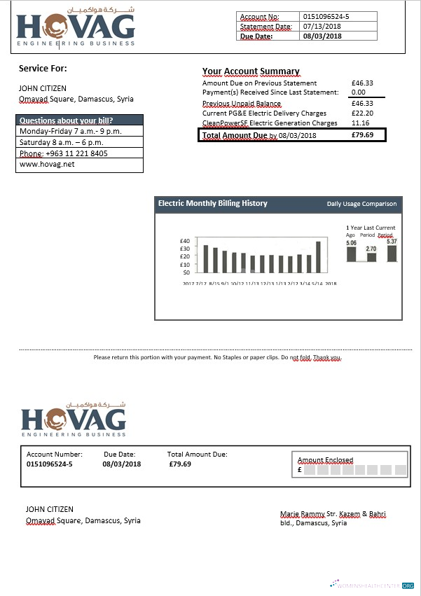 download download Syria HOVAG electricity bill in Word format
